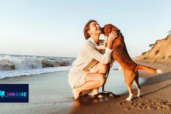 Imagine Dog Training