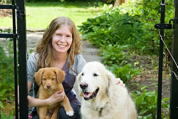 Main Street Veterinary Services