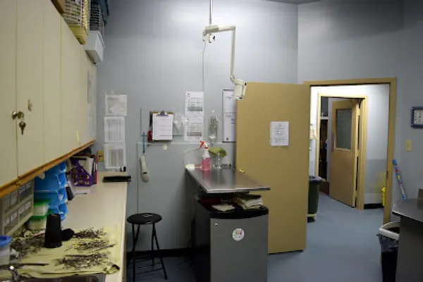 London Animal Care Centre