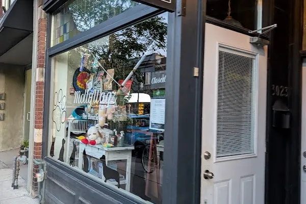 MollyWagz Pet Boutique