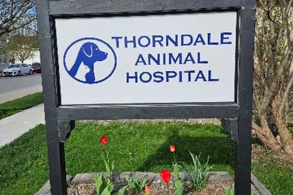 Thorndale Animal Hospital