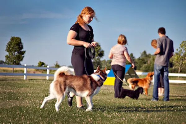 Country Club For Pets Ltd