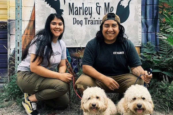 Marley's Misfits Dog Training