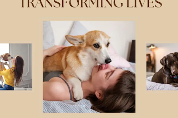 Northside Dog Training