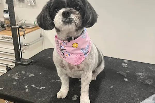 Topaz Pet Salon
