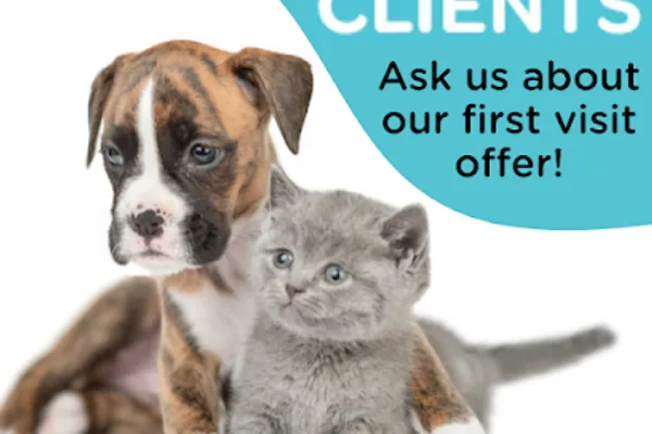 Barriefield Animal Hospital