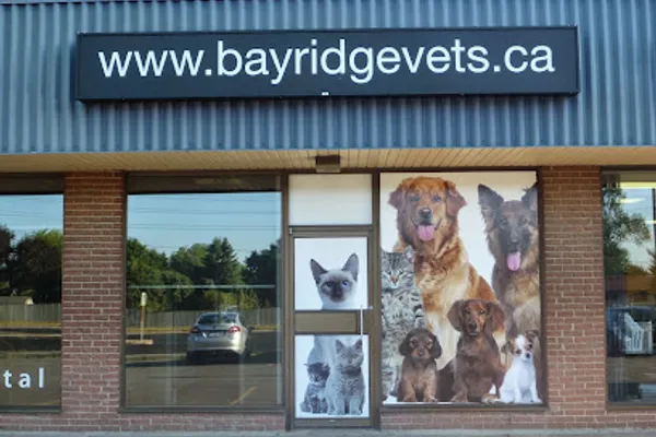 Bayridge Animal Hospital