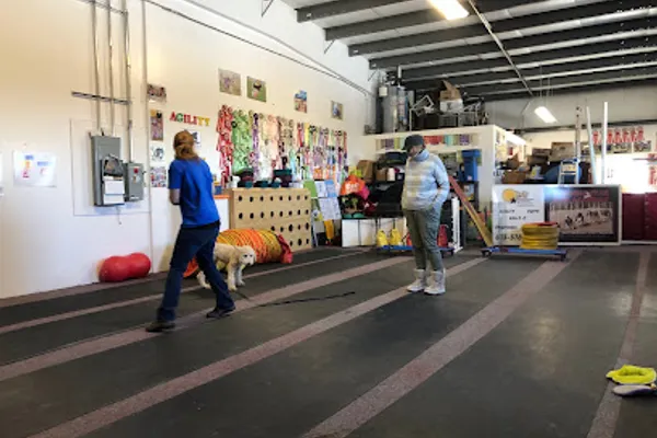 Morning Star Dog Academy