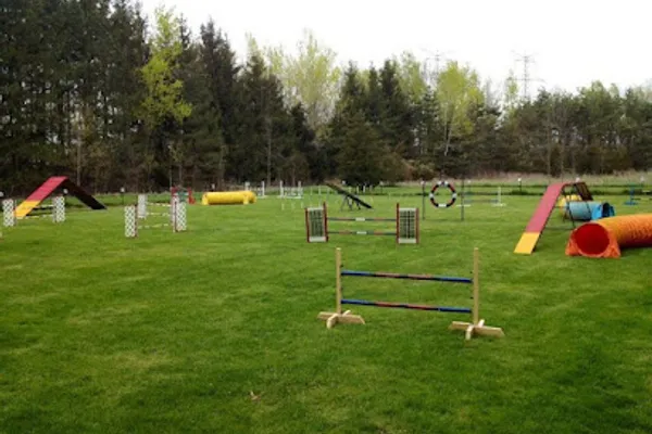 Agility On The River