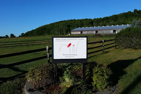 Heels Down Equestrian Centre