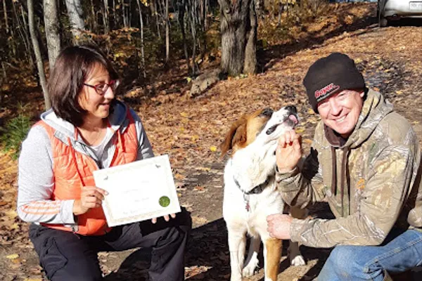 Loyal Companions Obedience Training