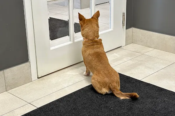 Martindale Animal Hospital