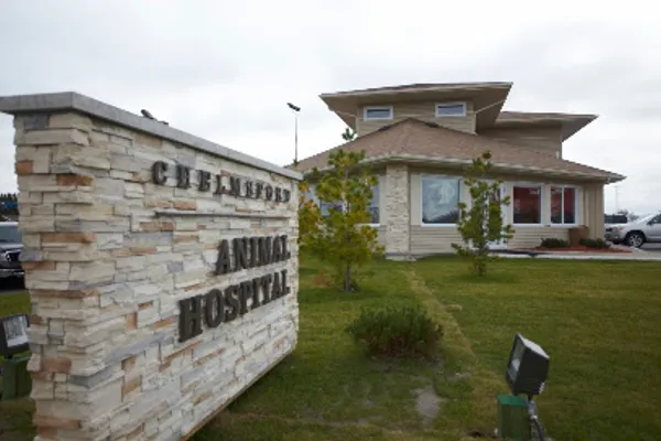 Chelmsford Animal Hospital
