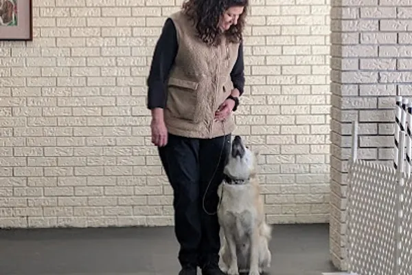 Sudbury & District Kennel Club