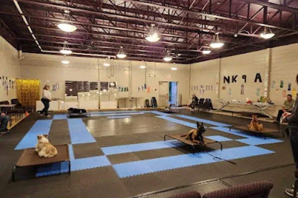 Northern K9 Academy Sudbury