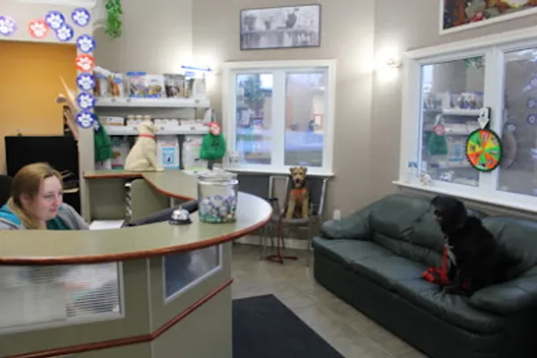 Shannondale Pet Hospital