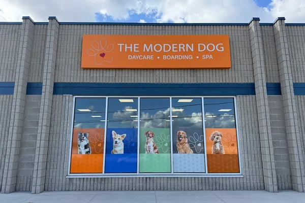 The Modern Dog Royal Windsor