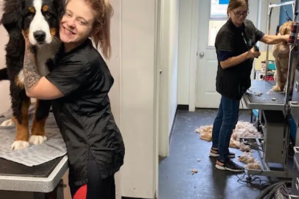 Besties Pet Spa & Cuisine
