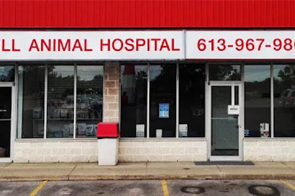 Bell Animal Hospital
