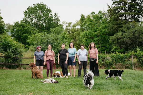 Fearless Tails Dog Training