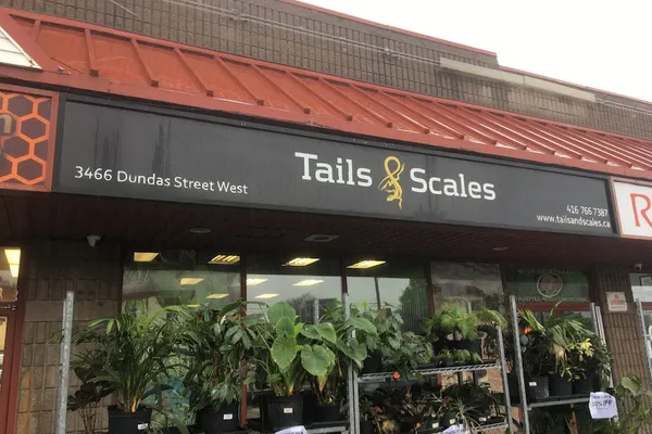 Tails and Scales Pet Boutique