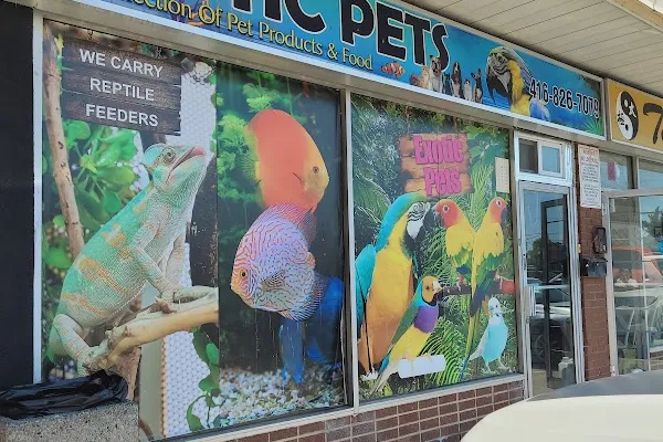 Exotic Pets Toronto