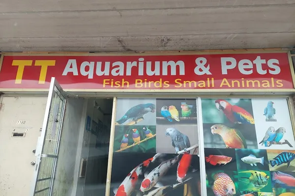 T T Aquarium&Pets