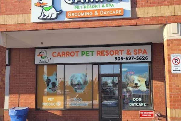 Carrot Pet Resort & Spa(grooming and daycare)