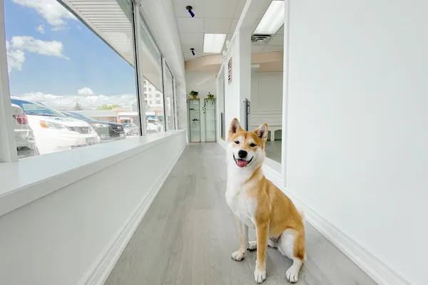 Paw Please Pet Services and Boutique