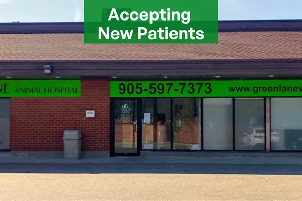 Green Lane Animal Hospital