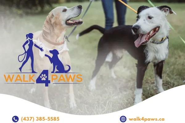 Walk4Paws