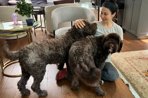 Rosie Paws Dog Boarding