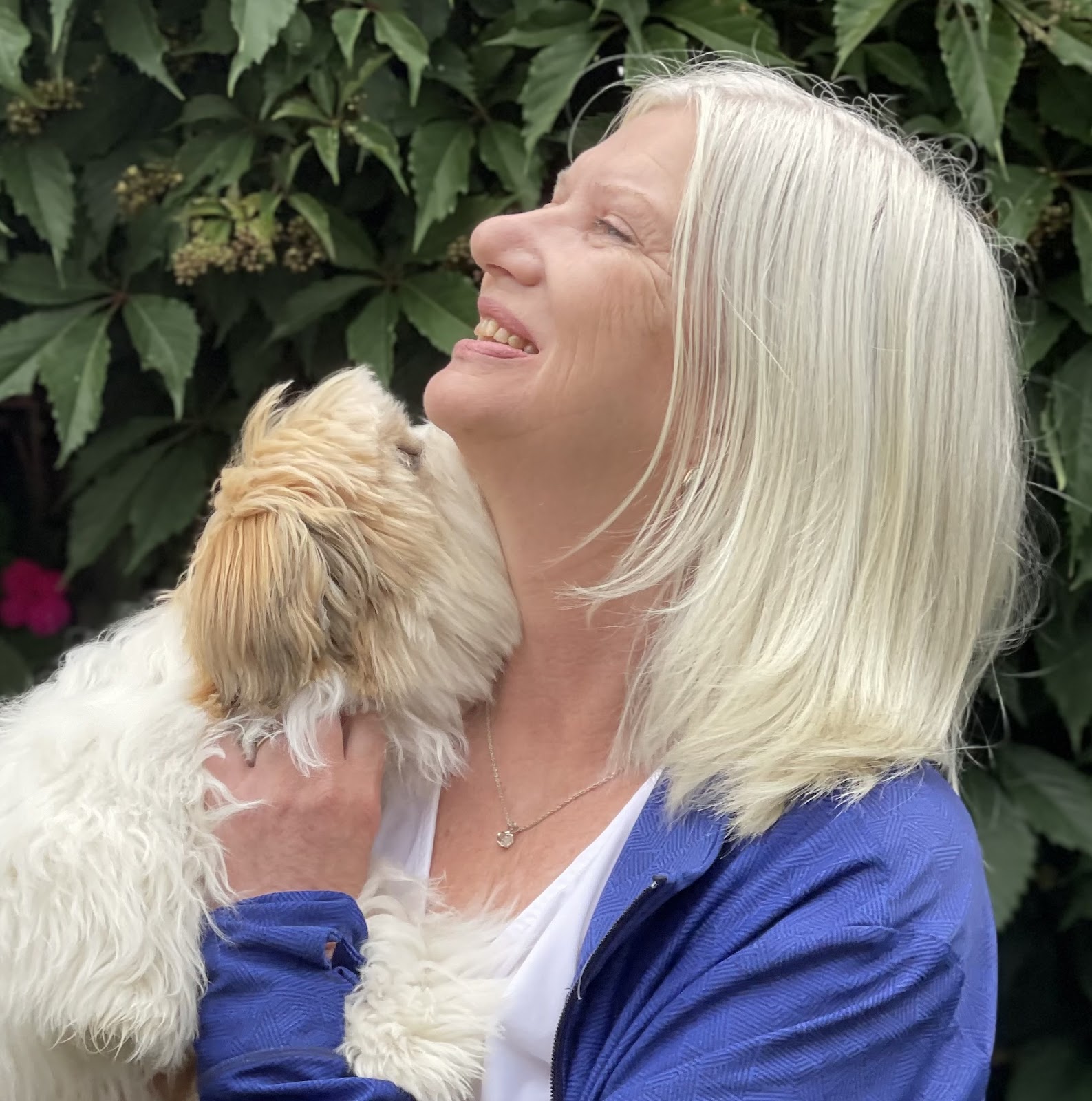 York Professional Pet Sitting and Dog Walking