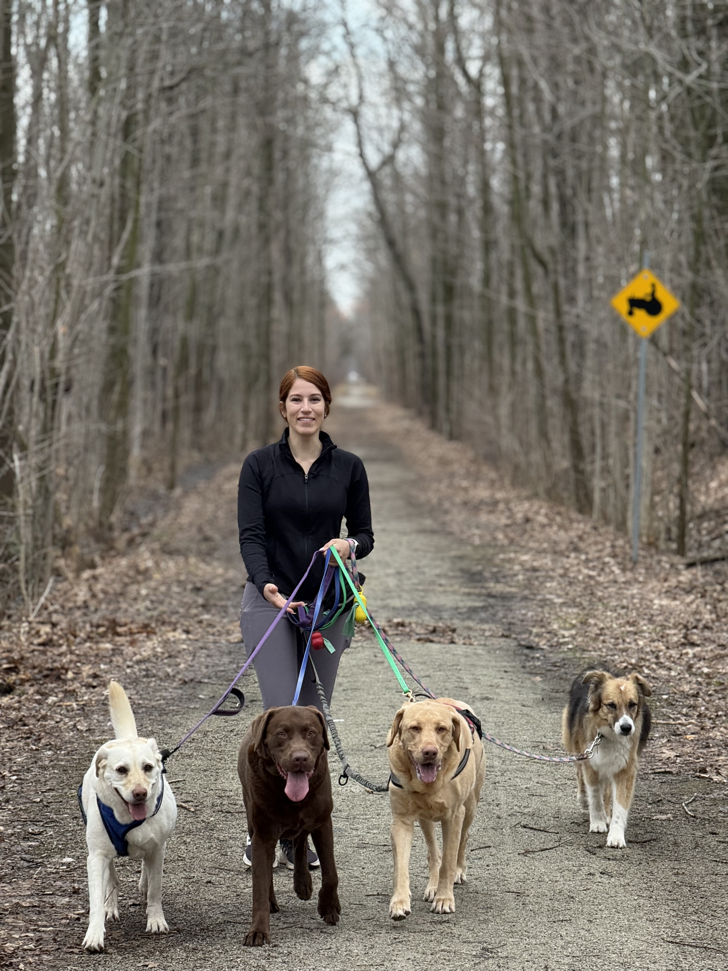 Zoomies Pet Care