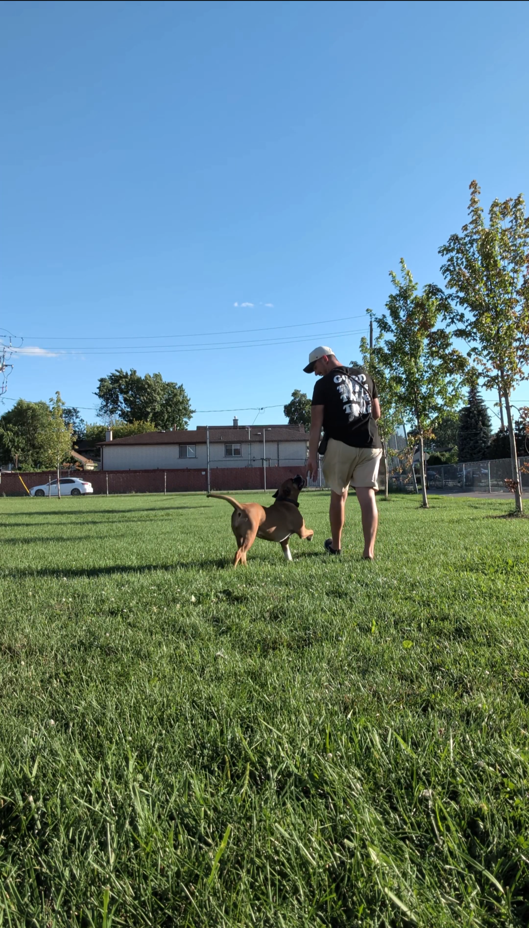 Dog Trainer Aaron