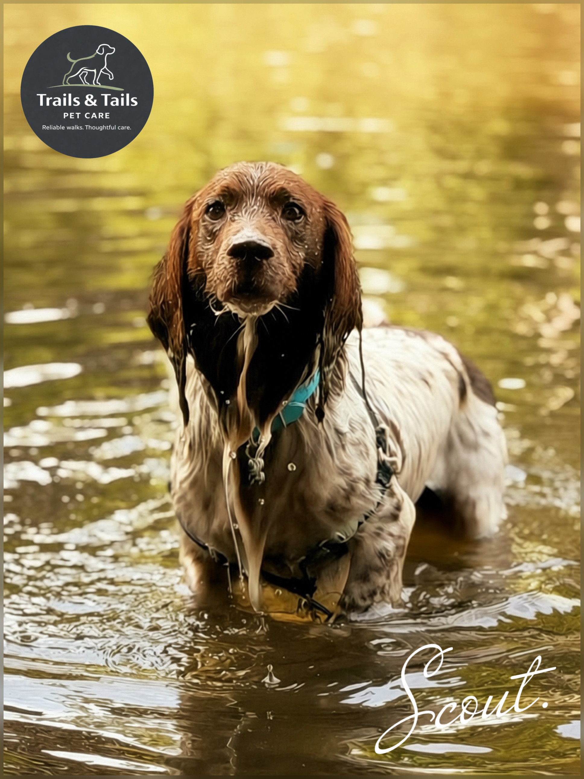 Trails & Tails Pet Care Fergus
