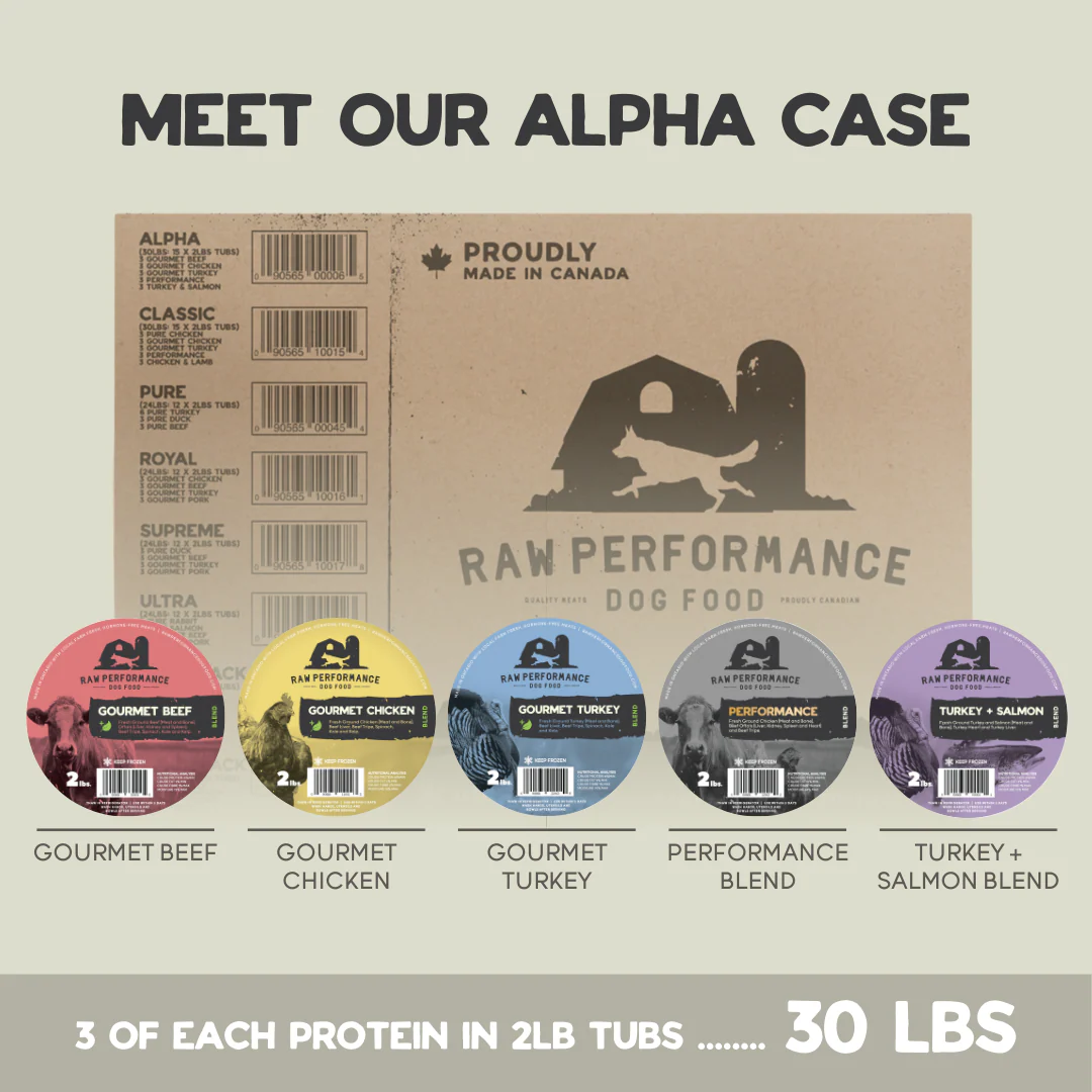 Raw Pet Food Ontario