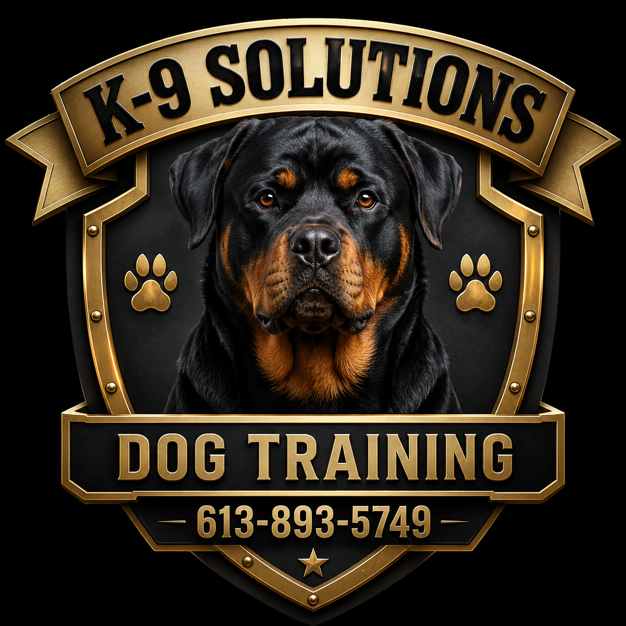 K-9 Solutions Mobile Pet Services and Training